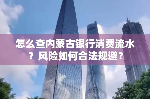 怎么查内蒙古银行消费流水？风险如何合法规避？