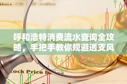 呼和浩特消费流水查询全攻略,手把手教你规避透支风险