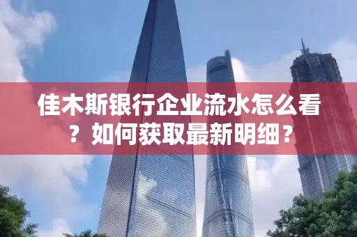 佳木斯银行企业流水怎么看？如何获取最新明细？