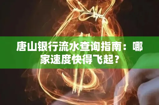 唐山银行流水查询指南：哪家速度快得飞起？