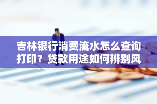 吉林银行消费流水怎么查询打印?贷款用途如何辨别风险?