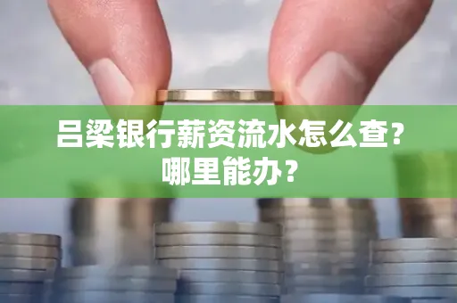 吕梁银行薪资流水怎么查?哪里能办?