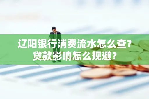辽阳银行消费流水怎么查?贷款影响怎么规避?
