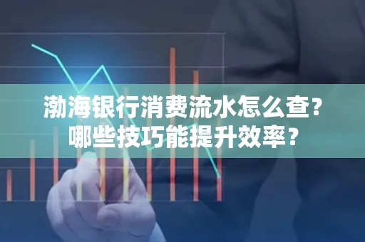 渤海银行消费流水怎么查？哪些技巧能提升效率？