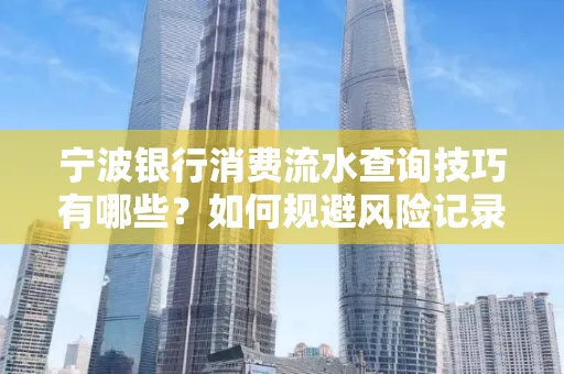 宁波银行消费流水查询技巧有哪些?如何规避风险记录?