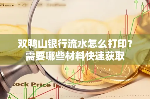 双鸭山银行流水怎么打印?需要哪些材料快速获取