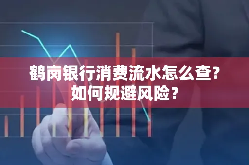 鹤岗银行消费流水怎么查?如何规避风险?