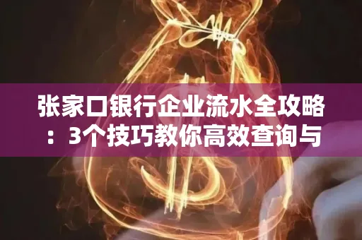 张家口银行企业流水全攻略:3个技巧教你高效查询与风险规避