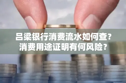 吕梁银行消费流水如何查?消费用途证明有何风险?
