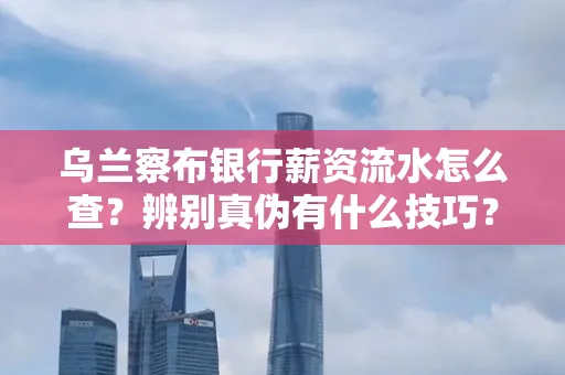 乌兰察布银行薪资流水怎么查?辨别真伪有什么技巧?