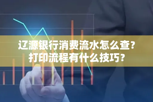 辽源银行消费流水怎么查？打印流程有什么技巧？