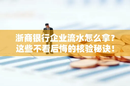 浙商银行企业流水怎么拿？这些不看后悔的核验秘诀！
