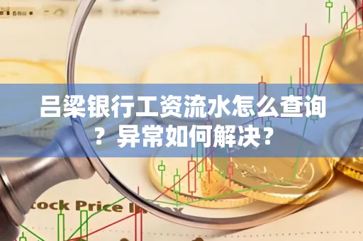 吕梁银行工资流水怎么查询?异常如何解决?