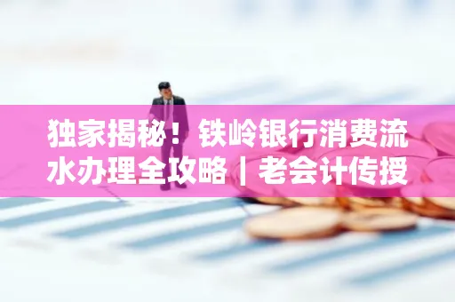 独家揭秘！铁岭银行消费流水办理全攻略｜老会计传授防诈技巧