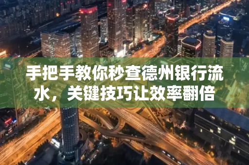手把手教你秒查德州银行流水,关键技巧让效率翻倍