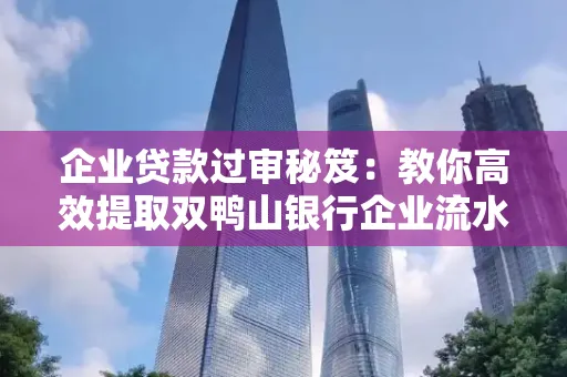 企业贷款过审秘笈：教你高效提取双鸭山银行企业流水