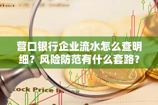 营口银行企业流水怎么查明细?风险防范有什么套路?