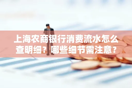 上海农商银行消费流水怎么查明细?哪些细节需注意?