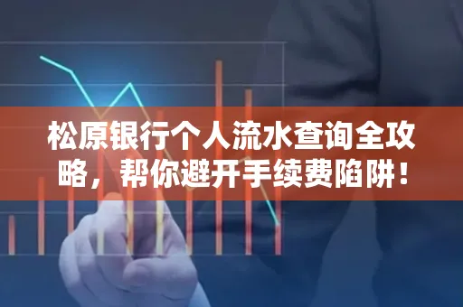 松原银行个人流水查询全攻略，帮你避开手续费陷阱！