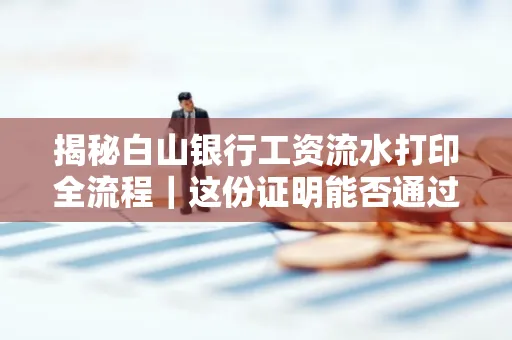 揭秘白山银行工资流水打印全流程｜这份证明能否通过审核？