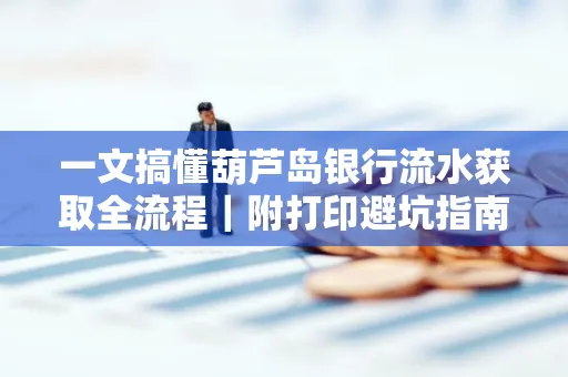 一文搞懂葫芦岛银行流水获取全流程|附打印避坑指南