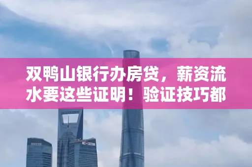 双鸭山银行办房贷,薪资流水要这些证明!验证技巧都在这里!