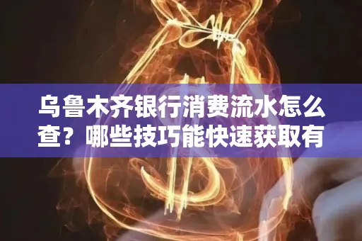 乌鲁木齐银行消费流水怎么查?哪些技巧能快速获取有效信息?