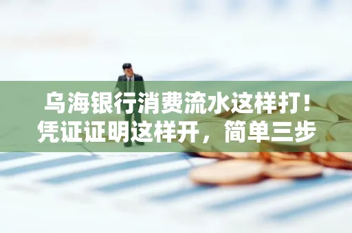 乌海银行消费流水这样打!凭证证明这样开,简单三步轻松搞定