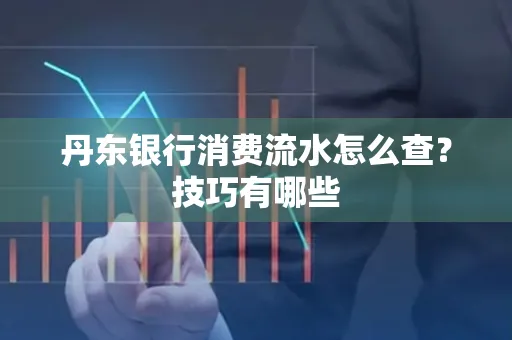 丹东银行消费流水怎么查？技巧有哪些