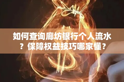 如何查询廊坊银行个人流水？保障权益技巧哪家懂？