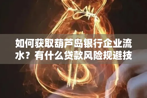 如何获取葫芦岛银行企业流水?有什么贷款风险规避技巧?