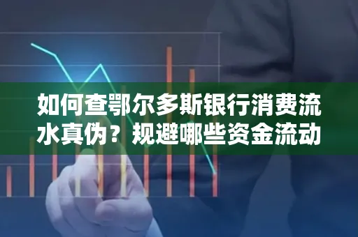 如何查鄂尔多斯银行消费流水真伪?规避哪些资金流动风险?防范要点解析