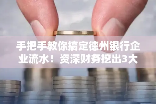 手把手教你搞定德州银行企业流水！资深财务挖出3大隐藏风险点