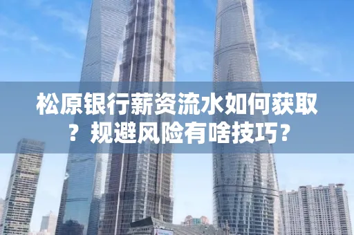 松原银行薪资流水如何获取?规避风险有啥技巧?