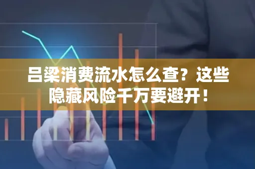 吕梁消费流水怎么查?这些隐藏风险千万要避开!