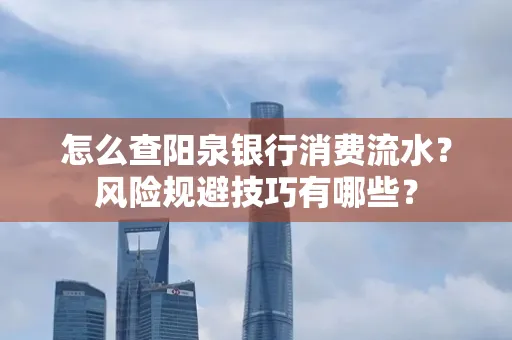 怎么查阳泉银行消费流水?风险规避技巧有哪些?