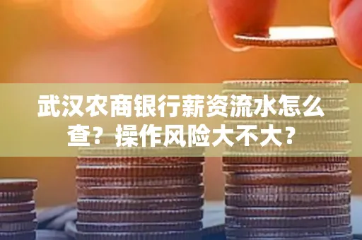 武汉农商银行薪资流水怎么查?操作风险大不大?