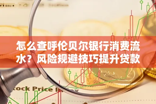 怎么查呼伦贝尔银行消费流水?风险规避技巧提升贷款率?