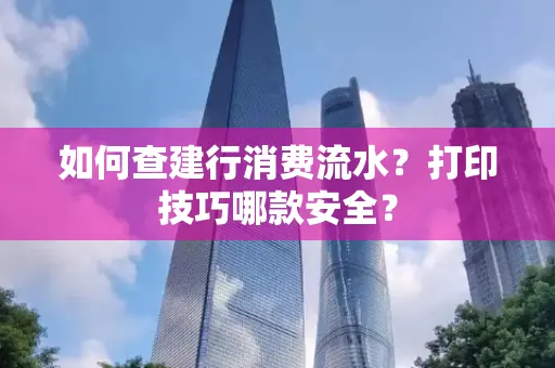 如何查建行消费流水?打印技巧哪款安全?